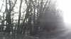 20160317-MOVI0005-frame0005.jpg