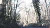 20160317-MOVI0010-frame0001.jpg