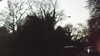 20160317-MOVI0014-frame0002.jpg