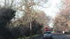 20160317-MOVI0015-frame0003.jpg
