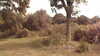 20160712-MOVI0068-frame0003.jpg