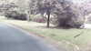 20160712-MOVI0071-frame0003.jpg
