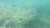 20160713-00032-frame0004.jpg