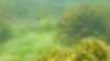 20160713-00032-frame0016.jpg