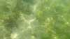 20160713-00033-frame0004.jpg