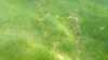 20160713-00033-frame0009.jpg