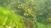 20160713-00033-frame0010.jpg