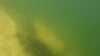 20160816-00049-frame0002.jpg