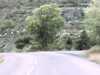 20160916-PICT0028-frame0001.jpg