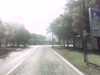 20160917-PICT0005-frame0002.jpg