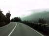 20160917-PICT0010-frame0001.jpg