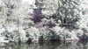 2017-04-17:to Pont de Larch
