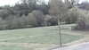 20170425-MOVI0026-frame0004.jpg