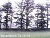 20170829-MOVI0002-frame0001.jpg