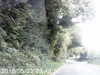 20170829-MOVI0030-frame0001.jpg