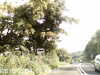 20170829-MOVI0091-frame0001.jpg