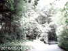 20170829-MOVI0282-frame0001.jpg