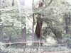 20170829-MOVI0283-frame0001.jpg