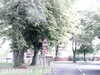 20170829-MOVI0290-frame0001.jpg