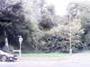 20170829-MOVI0320-frame0001.jpg