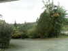 20170910-MOVI0172-frame0005.jpg