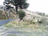 20170912-MOVI0036-frame0003.jpg