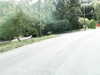 20170916-MOVI0017-frame0001.jpg