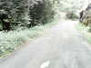 20170919-MOVI0002-frame0004.jpg
