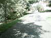 20170919-MOVI0003-frame0003.jpg