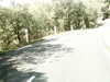 20170919-MOVI0011-frame0004.jpg