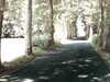 20170921-MOVI0010-frame0005.jpg