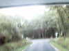 20170923-MOVI0003-frame0001.jpg