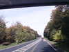 20170923-MOVI0056-frame0004.jpg