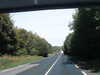 20170923-MOVI0056-frame0005.jpg