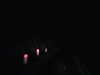 20170924-MOVI0084-frame0001.jpg