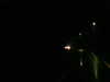 20171203-MOVI0096-frame0003.jpg