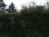 2017-12-04:Bergues Edenbridge
