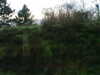 20171204-MOVI0098-frame0002.jpg
