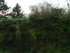 20171204-MOVI0098-frame0003.jpg