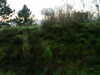 20171204-MOVI0098-frame0004.jpg