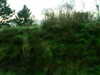 20171204-MOVI0098-frame0005.jpg
