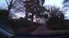 20180201-0197-frame0002.jpg