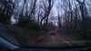 20180201-0198-frame0005.jpg