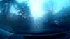 20180305-06400001-frame0002.jpg