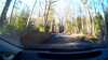 20180308-16040001-frame0005.jpg