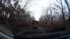 20180309-06590002-frame0001.jpg