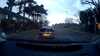 20180405-06330001-frame0003.jpg