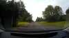 20180607-earmisswithpigeon-frame0001.jpg