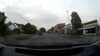 20180607-earmisswithpigeon-frame0005.jpg