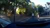 20180805-19000005-frame0001.jpg